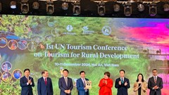 UN Tourism trao chứng nhận làng du lịch tốt nhất năm 2024 cho làng rau Trà Quế