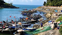 Mô hình mới trong quản lý Khu sinh quyển Cù Lao Chàm - Hội An