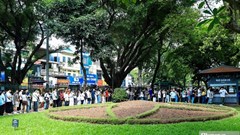 Sĩ tử nô nức đến Văn Miếu - Quốc Tử Giám xin chữ, cầu đỗ đạt