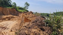 Đà Nẵng đề nghị chuyển hơn 9,5 ha đất rừng trồng sang khai thác đất