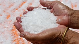 “Hoa muối’ Gò Cỏ - tinh thể của ký ức và di sản