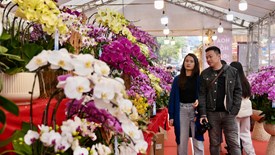 Ngày xuân khám phá chợ hoa lâu đời nhất Hà thành