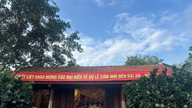 Nhiều nghi lễ truyền thống đặc sắc tại Lễ hội truyền thống Đền Đại An năm 2026