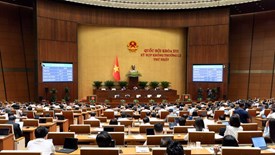 Các cơ chế đặc thù di chuyển hai di tích phục vụ dự án kết nối sân bay Gia Bình