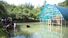 Sớm đưa ra quyết định trước khi quá muộn