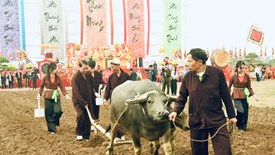 Khai hội Tịch điền Đọi Sơn Xuân Bính Ngọ 2026
