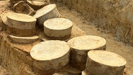 Ninh Bình: Phát hiện cổ vật thời Trần khi thuốn đào móng nhà