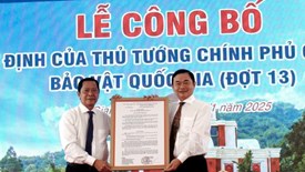 Công nhận hai Bảo vật quốc gia và xác lập kỷ lục Việt Nam về văn hóa Óc Eo tại An Giang