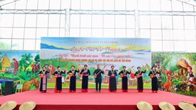 “Hành trình sắc màu“- tôn vinh vẻ đẹp di sản Cao nguyên đá Đồng Văn