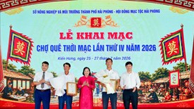 Đưa nghệ thuật trở về với không gian cộng đồng