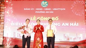 Đà Nẵng: Công bố biểu trưng phường An Hải 