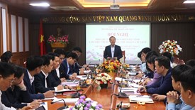 Bắc Ninh: Bố trí đầu tư 3% – 4% ngân sách chi thường xuyên cho ngành Văn hóa