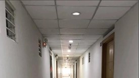 Cô gái “trốn” hàng xóm: Thói quen kỳ lạ nhưng lý do được nhiều người cảm thông