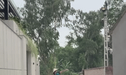 Mẹ đội nón lá, nhảy múa trước biệt thự đón con gái: Mỗi lần về một kiểu chào khác nhau