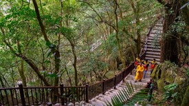 Đón nhận danh hiệu Di sản văn hóa phi vật thể quốc gia