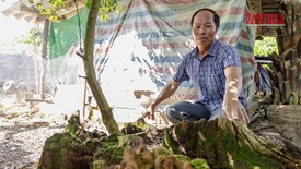 Nối lại không gian ký ức vua Hàm Nghi