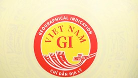 Việt Nam công bố Biểu trưng chỉ dẫn địa lý quốc gia (2022)