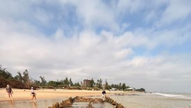  Đề xuất khai quật khẩn cấp tàu cổ Cẩm An