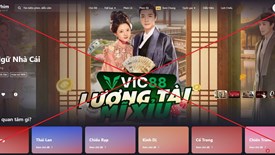   Nhân danh bảo vệ bản quyền tác giả lại xâm phạm bản quyền