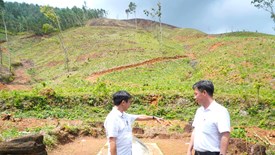 Những câu hỏi từ “người trong cuộc”