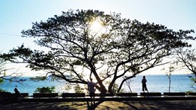 Kỳ cuối - Đừng để du lịch chỉ còn là những “clip triệu View”