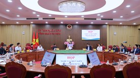 Dự kiến diễn ra nhiều hoạt động văn hóa, du lịch, nghệ thuật chào năm mới 2026