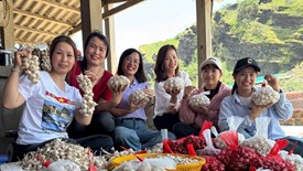 Quảng bá văn hóa, du lịch Lý Sơn thông qua câu chuyện kể về cây tỏi