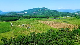 Quảng Ngãi xếp hạng hai di tích gắn với lịch sử cách mạng