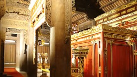 Cây lim “hiến thân” và bí ẩn giữa đất thiêng Lam Kinh