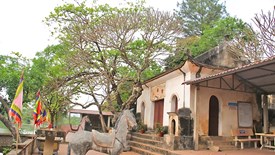 Đền Cây Vải lưu giữ nhiều lớp trầm tích lịch sử