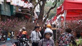 “Sống chậm” ở chợ hoa Hàng Lược 