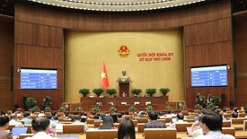 Xây dựng Thông tư và Nghị định quy định chi tiết thi hành một số điều của Luật Quảng cáo