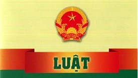 Bảo đảm thống nhất và chặt chẽ, hiệu quả trong việc triển khai thi hành Luật Quảng cáo