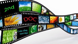 Sửa đổi, bổ sung thủ tục hành chính mua bán hàng hóa quốc tế chuyên ngành văn hóa 