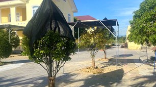 Sẽ xem xét kỷ luật những người liên quan