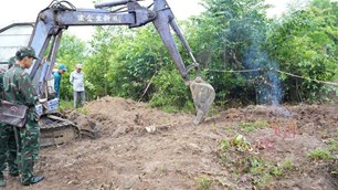 Quảng Ngãi: Cất bốc, quy tập hài cốt liệt sĩ tại Gò Tràm