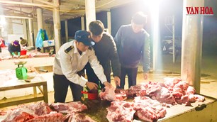  37 lao động 6 tháng không lương: Chủ tịch tỉnh Hà Tĩnh yêu cầu báo cáo