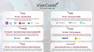 Ngoài ngân hàng, đâu là kênh gửi vốn hợp pháp và đáng tin cậy cho tổ chức?