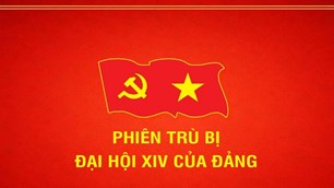 [Infographic] Phiên trù bị Đại hội đại biểu toàn quốc lần thứ XIV của Đảng