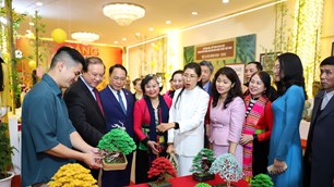 “Hội xuân Bính Ngọ 2026” tưng bừng khai mạc