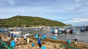 Ninh Thuận: Nông thôn mới Ninh Hải ngày càng sạch đẹp, trong lành