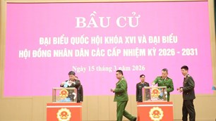 Quảng Ninh: 99,98% cử tri tham gia bỏ phiếu trong ngày bầu cử