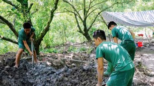 Đồng Tháp quy tập 16 bộ hài cốt liệt sĩ trong vườn cây ăn trái của người dân