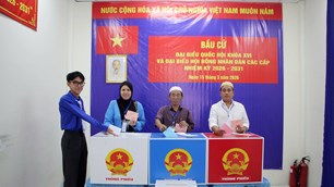 Gần 9,7 triệu cử tri TP.HCM nô nức đi bỏ phiếu 