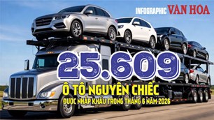 Việt Nam nhập khẩu 25.609 ô tô trong tháng 6, Indonesia dẫn đầu nguồn cung