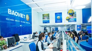 Tập đoàn Bảo Việt (BVH) chi trả cổ tức năm 2024 bằng tiền mặt, tỉ lệ 10,551%