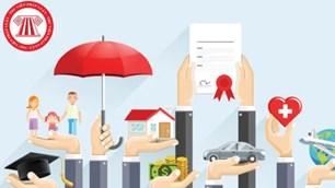 Hành vi gian lận bảo hiểm bị xử phạt hình sự thế nào?