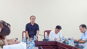 Đội tuyển Việt Nam chuẩn bị đấu hai đối thủ quốc tế tại sân Thiên Trường