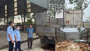 Tiêu hủy 5 tấn da trâu, bò bốc mùi giữa trời nắng gắt