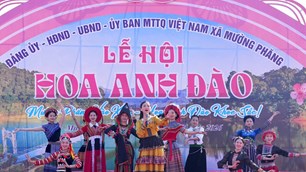 Sắc thắm hoa anh đào Mường Phăng níu chân du khách